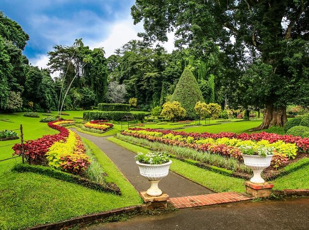Hakgala Botanical Garden
